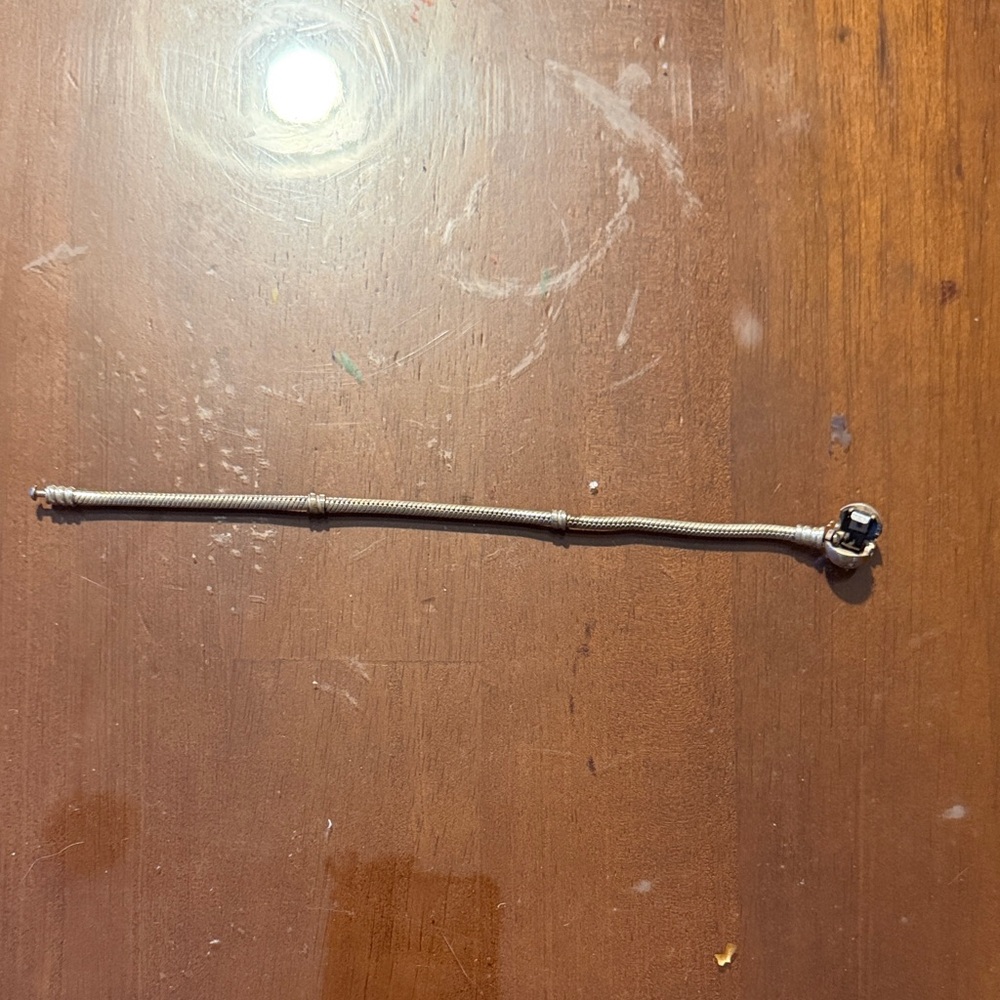 Disney pandora bracket